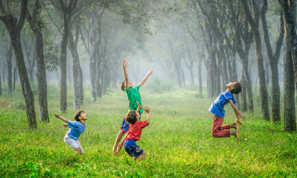 kids playing in a meadow